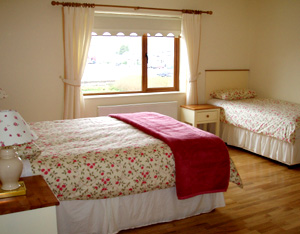 Dingle Accommodation Bedroom